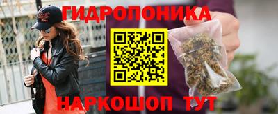 дмт Будённовск