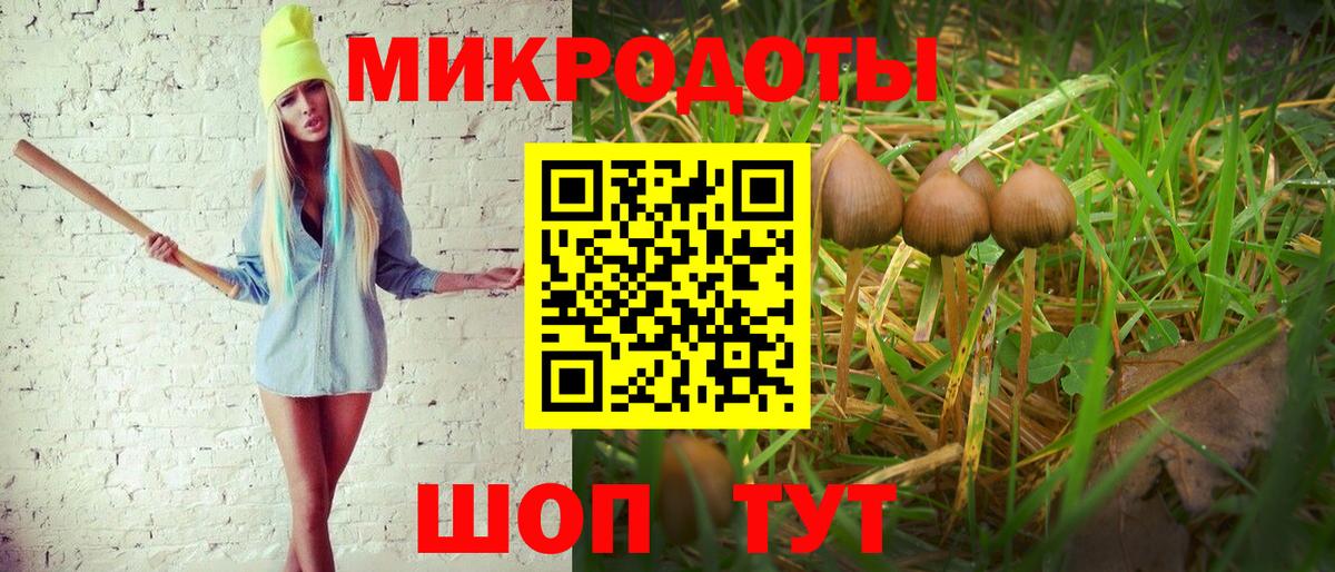 Элиста  Псилоцибиновые грибы Psilocybine cubensis  Вход с VPN 